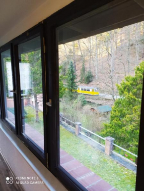 Elbenland Apartments & Bungalows Bad Schandau